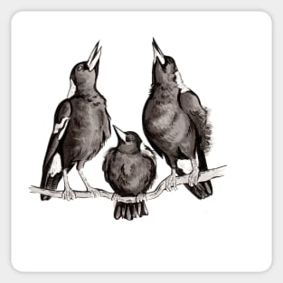 Magpie Family Sticker